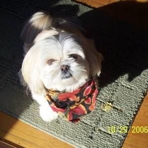 Meet your Posher, Tammy